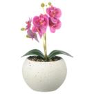 Vaso Decorativo Cerâmica Flor Orquídea Artificial Vasinho Planta Arranjo Lembrancinha Mesa Sala Varanda Vaso Decorativo Cerâmica Flor Orquídea Artificial Vasinho Planta Arranjo Lembrancinha Mesa Sala Varanda