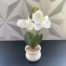 Vaso decorativo com flor artificial de plástico orquídea branca ou rosa de decoração flores branco com folha vasinho