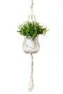 Vaso Decorativo Com Macramê E Planta Artificial Mini Folhagem Inclusa
