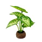 Vaso Decorativo De Cimento 14cm Com Planta - Tudo Em Caixa Vaso Decorativo De Cimento 14cm Com Planta - Tudo Em Caixa