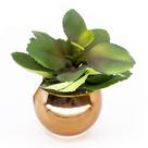 Vaso Decorativo Dourado Com Suculenta Artificial Folha Baixa F04 - D'Rossi