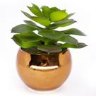 Vaso Decorativo Dourado Com Suculenta Artificial Sedum Hirsutum F04 - D'Rossi