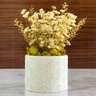 Vaso decorativo - Flores sempre Vivas