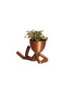 Vaso Decorativo Para Suculentas G - Bob Deitado