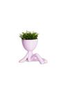 Vaso Decorativo Para Suculentas G - Bob Descansando