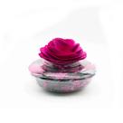 Vaso Decorativo Pot Pourri