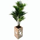 Vaso Decorativo Retangular Charlote Peg BRZTES 61cm