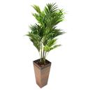 Vaso Decorativo Trapézio Honolulu Peg BNPFSD 64cm