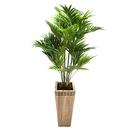 Vaso Decorativo Trapézio Honolulu Peg BRZTSD 64cm