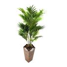 Vaso Decorativo Trapézio Orleans Peg BNPFES 64cm