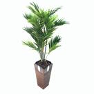 Vaso Decorativo Trapézio San Diego Peg BNPFES 64cm