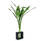 Vaso em Vidro e Suporte de Madeira Médio com Bambu da Sorte - Feng Shui