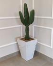 Vaso Esculpido em Porcelanato Esmaltado Polido 65x45cm- Branco Calacata