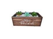 Vaso Flor Floreira Frases Retangular Com Floreira Plastica