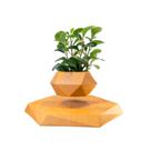 Vaso Flutuante sistema Magnético - Base Hexagonal Vaso Flutuante sistema Magnético - Base Hexagonal