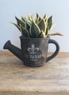 Vaso formato regador