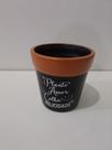 Vaso frases M Vaso frases M