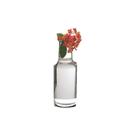 Vaso Garrafa 6,50x21,50cm Incolor- Luvidarte Vaso Garrafa 6,50x21,50cm Incolor- Luvidarte