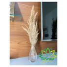 Vaso Garrafa De Vidro C/Pampas Plumas Desidratado c/Tampa Cortiça Rolha Importado Floral Vaso Garrafa De Vidro C/Pampas Plumas Desidratado c/Tampa Cortiça Rolha Importado Floral