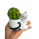 Vaso Gatinho Cachepô Cerâmica Decoração