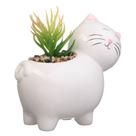 Vaso Gatinho Suculenta Decoração Casa Banheiro Vas-456 G