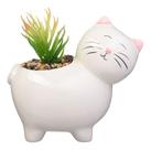 Vaso Gatinho Suculenta Decoração Casa Banheiro Vas-456 G