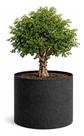 Vaso Grande 200 Litros Para Arvores Frutíferas Feltro Allgreen