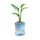Vaso Hidropônico Transparente De Plástico De Dupla Camada Com Autoirrigação Para Escritório