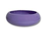 VASO IKEBANA PARA ARRANJOS DE FLORES E PLANTAS Cor:ROXO