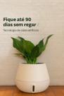 Vaso Intelligente Autoirrigável Brota Cuia Areia 25x32 Vaso Intelligente Autoirrigável Brota Cuia Areia 25x32