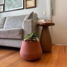 Vaso Intelligente Autoirrigável Brota Cuia Terracota 25x32 Vaso Intelligente Autoirrigável Brota Cuia Terracota 25x32