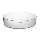 Vaso Luvidarte Redondo para Suculentas Transparente - Tamanho 2