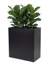 Vaso Metálico para Plantas Caixa Alta 80x80cm Preto