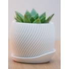 Vaso Minimalista TopStudio3D em PLA 3D com Prato -