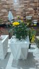Vaso onda 24X19
