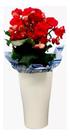 Vaso Para Flores - 3 Litros