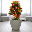 Vaso para Planta Cone Diamante 3D 40X50 Plantas Grandes palmeiras frutíferas 50 litros em polietileno Vaso para Planta Cone Diamante 3D 40X50 Plantas Grandes palmeiras frutíferas 50 litros em polietileno