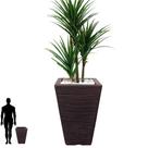 Vaso para planta