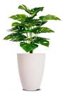 Vaso Para Plantas 31 Cor Branco Mármore