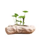 Vaso para plantas de bonsai de cerâmica com imitação de rocha 19x14x5cm