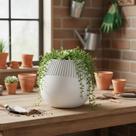 Vaso para plantas e Decoração