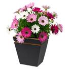 Vaso Plantas Cachepo Pequeno 11cm Quadrado Mdf Decorativo