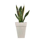 Vaso Polietileno Cachepot Rattan Quadrado Pequeno Branco 10L Decoração - Baitashop