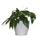 Vaso Polietileno para Plantas Jardim Sala Luxo Coluna Bojo Diamante 0 Cinza
