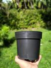 Vaso Preto Redondo Pote 16 cm - Ideal para Plantas e Decoração