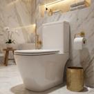 Vaso Sanitário com Caixa Acoplada Catena Premium Acqua Branco/Brilhante
