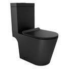 Vaso Sanitário com Caixa Acoplada Docol Liss 12009743119 Ônix Vaso Sanitário com Caixa Acoplada Docol Liss 12009743119 Ônix