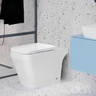 Vaso Sanitário Convencional Catena Premium Acqua Branco/Matte