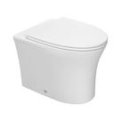 Vaso Sanitário Convencional Deca Vertis Total Clean Kp.8710.17 Branco