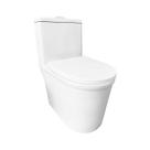 Vaso Sanitário Monobloco Caixa Acoplada Branco R580 RENO